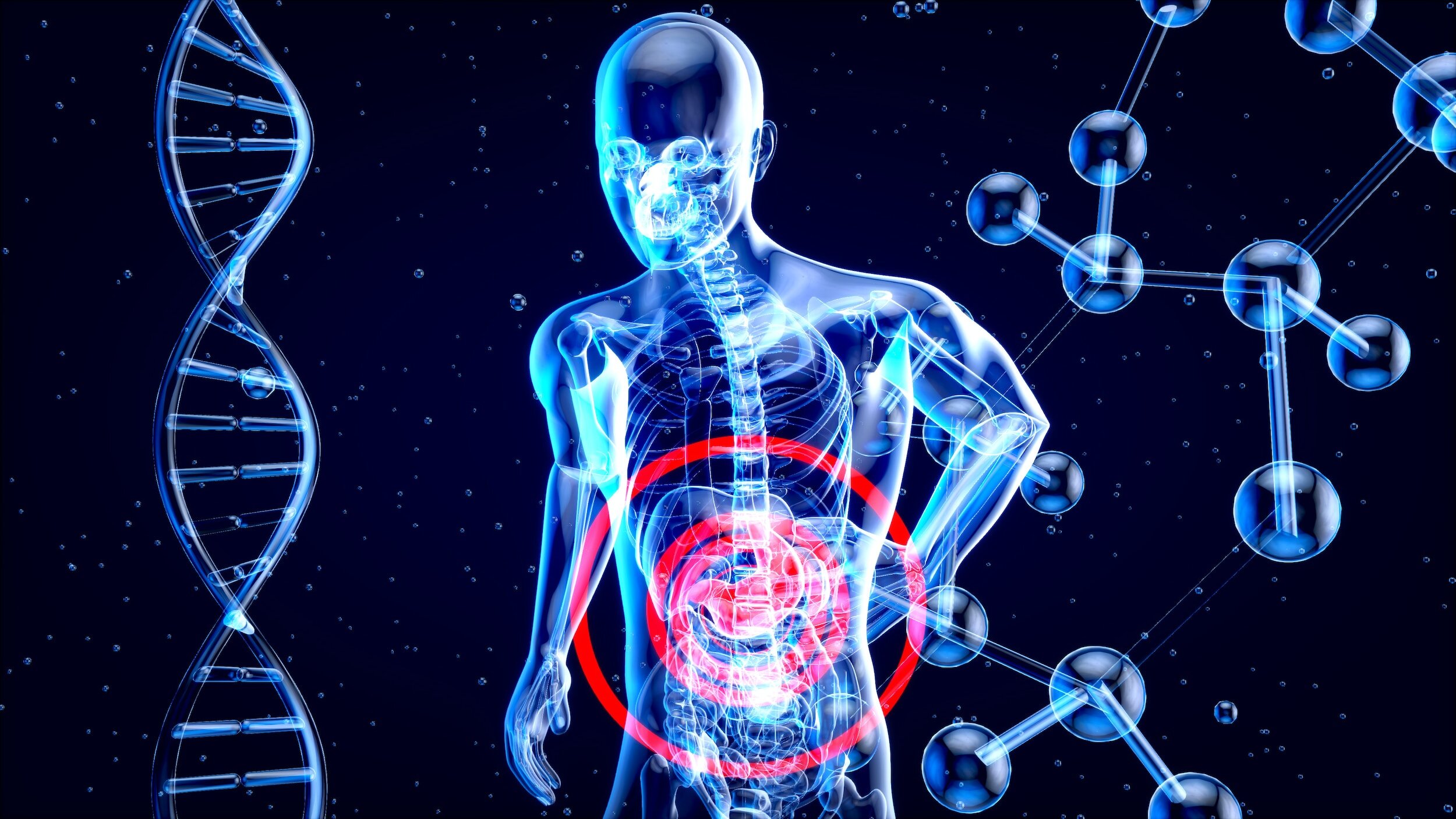 How your veins & liver support your wellness