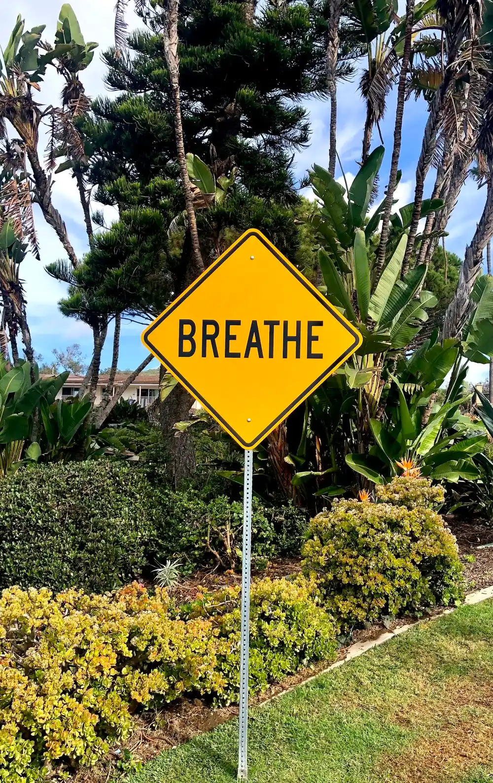Benefits of Breath Work