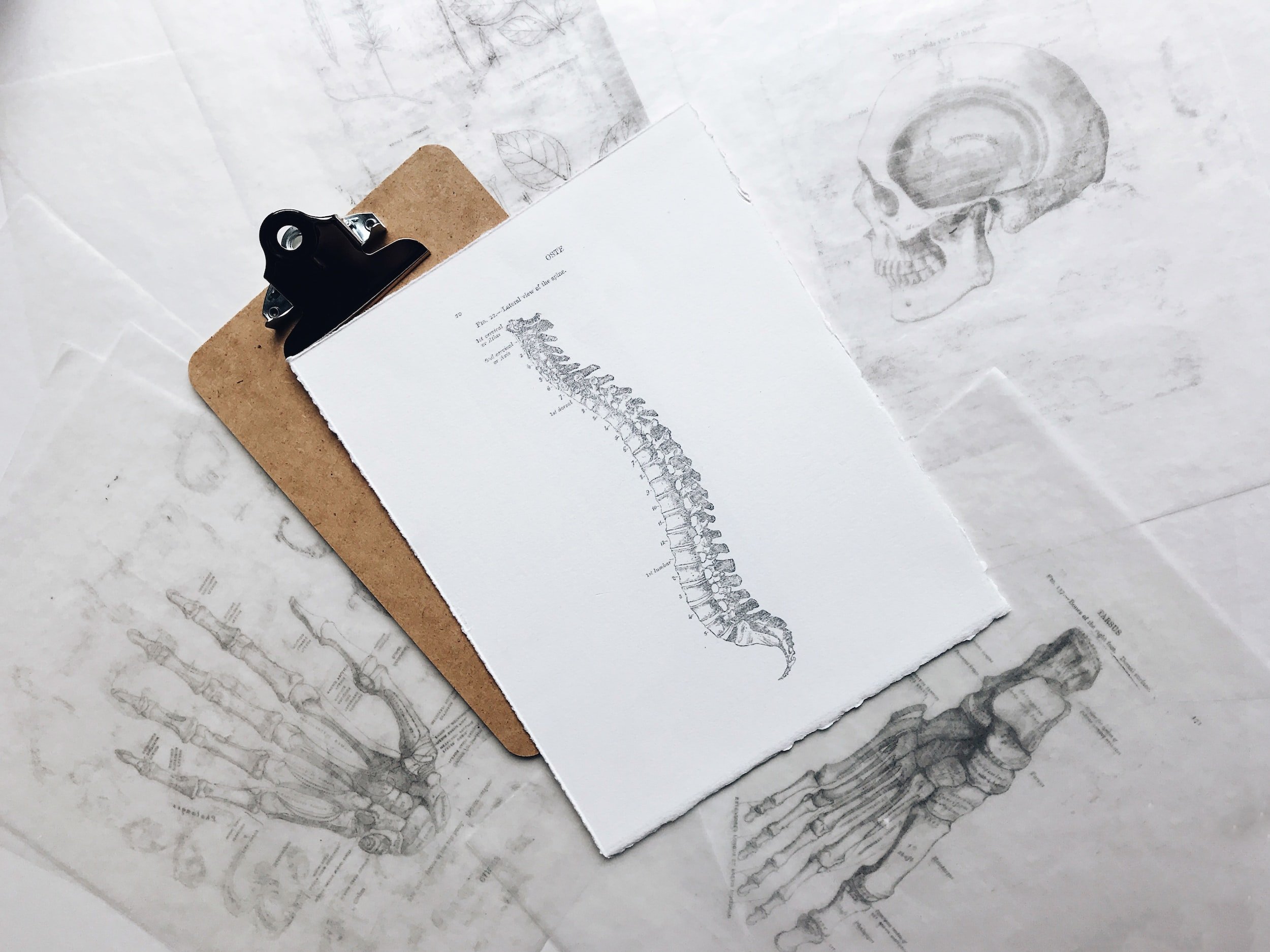 What is Holistic Posture Therapy?