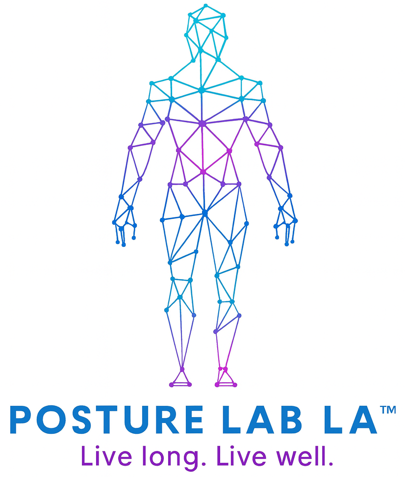 The Posture Lab LA