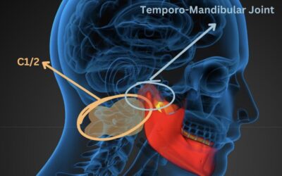 Jaw Release, Tongue Work, and the Nervous System: What’s Real vs. What’s Trend