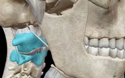 The Hidden Connection: Jaw, Tongue & Upper Cervical Spine