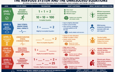 The UNRESOLVED EQUATIONS Chronic Stress, Trauma, and the Nervous System